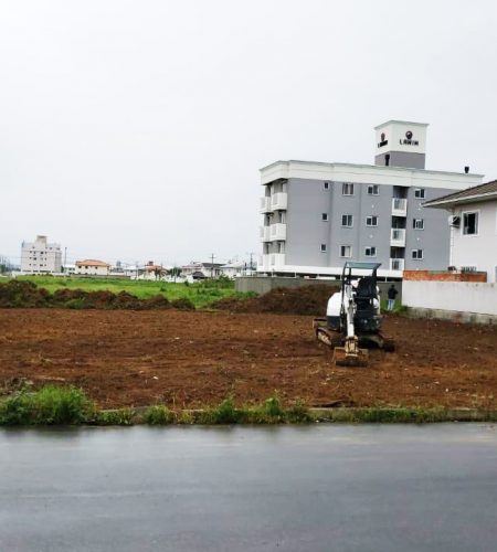 limpeza de terreno3